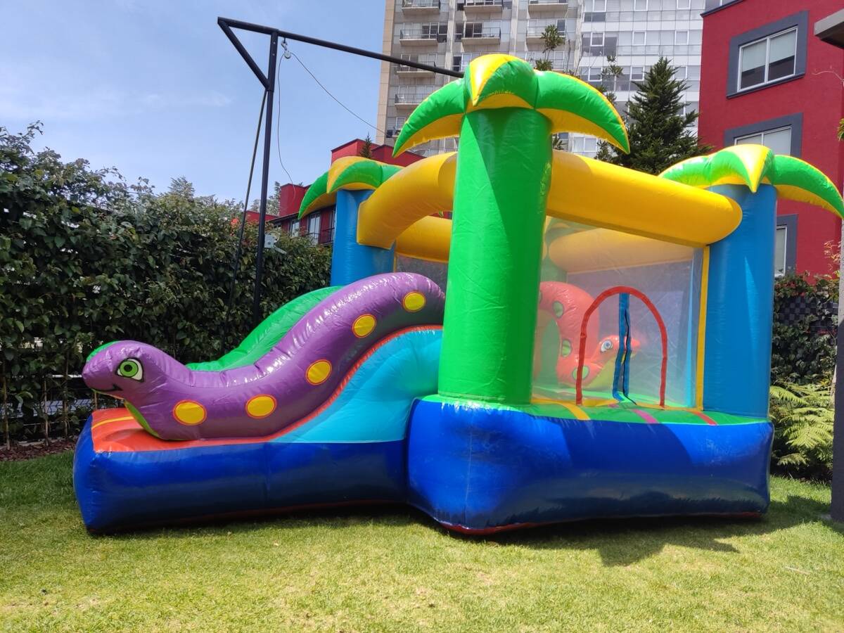 Fiesta infantil en patio mediano con inflable Mini Jungla instalado en CDMX